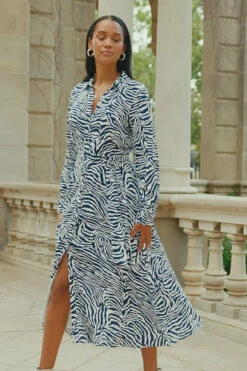 Blue & White Zebra Print Midi Shirt Dress -CHAUz Clothing Shop a5fc8f06921e6bde06d59218806b511b24d01636