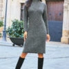 Charcoal Grey Roll Neck Rib Jumper Dress -CHAUz Clothing Shop web 81 a21dk504gy s21fw004gy 134