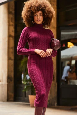 Wine Roll Neck Cable Knit Dress
