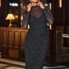 Black Sparkle Mesh High Neck Midi Dress -CHAUz Clothing Shop web 2310 09 a23dj055bk0001 09 064