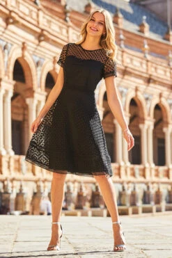 Black Luxe Lace Detail Fit & Flare Dress
