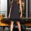 Black Feather Trim Shift Dress 1 Black Feather Trim Shift Dress -CHAUz Clothing Shop web rt 142 a22dw069bk0001 016